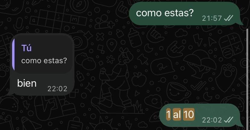 Captura 8